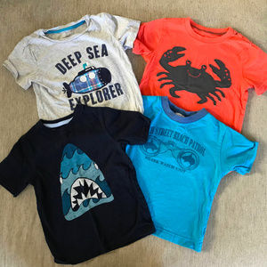 Bundle of 3T Summer Theme T Shirts